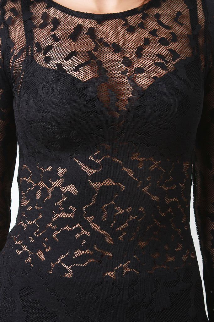 Semi-Sheer Mesh Long Sleeve Midi Dress