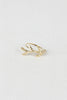 Rough Branch Ring