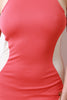 Two Tone Sleeveless Round Neck Dress