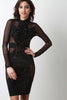 Mock Neck Semi-Sheer Velvet Filigree Dress