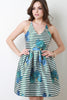 Striped Floral Skater Dress
